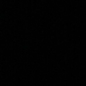 Meet your Posher, Amelia